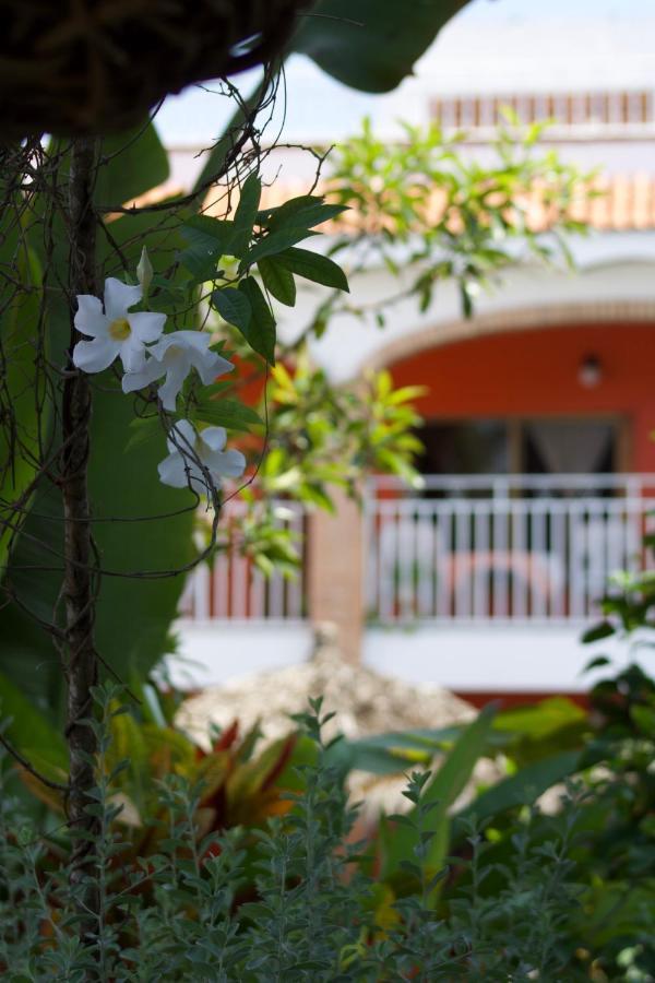 Bungalows Las Tortugas Lo de Marcos Dış mekan fotoğraf